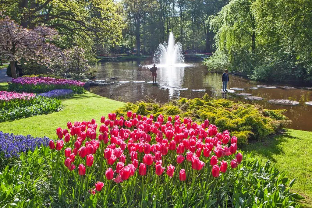Adevarata frumusete a lalelelor: cum sa petreci o zi in Gradinile Keukenhof.