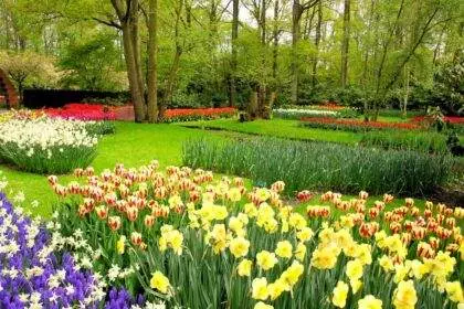 Cintre cele mai frumoase parcuri din Europa, Grădinile Keukenhof din Olanda.