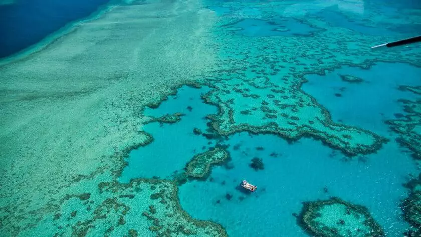 Minune a naturii: Marea Barieră de Corali