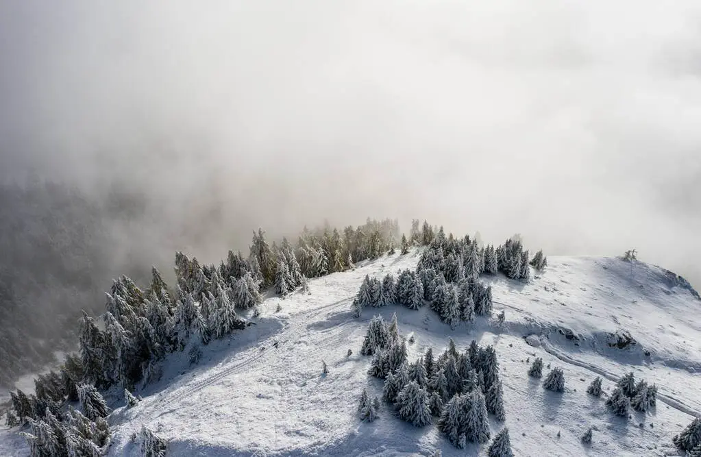 Schiul de aventură în Alpii Elvețieni zbor cu parapanta sau elicopterul