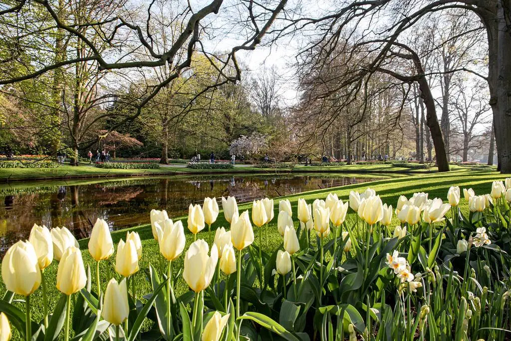 O experiență incântătoare: vizita la celebrul parc al lalelelor, Grădinile Keukenhof din Olanda.